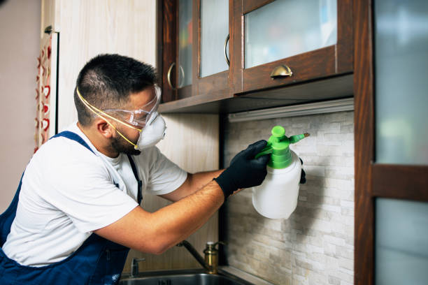 Best Residential Pest Control  in Iota, LA