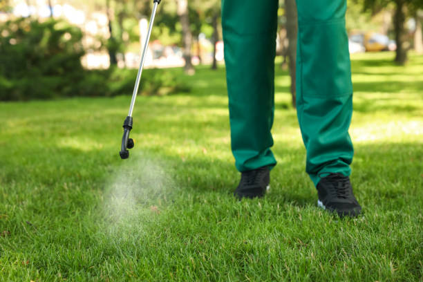 Best Pest Control for Homes  in Iota, LA