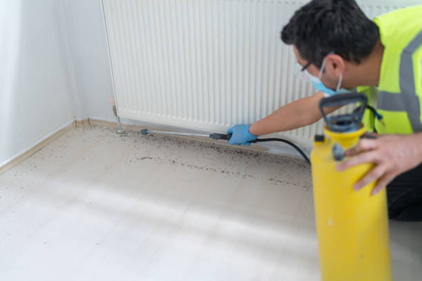 Best Ant Control Services  in Iota, LA